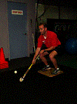 Drill #3  Low Static Squat on Balance Board w/ Stick (side view)