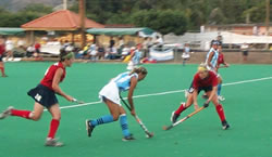 Argentina in the flow